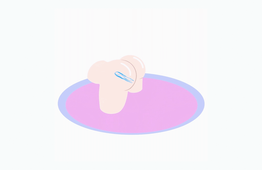 hot Sex Doll Care Kit