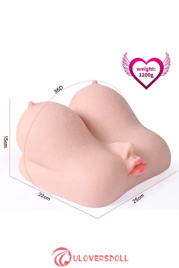 Sex Torso