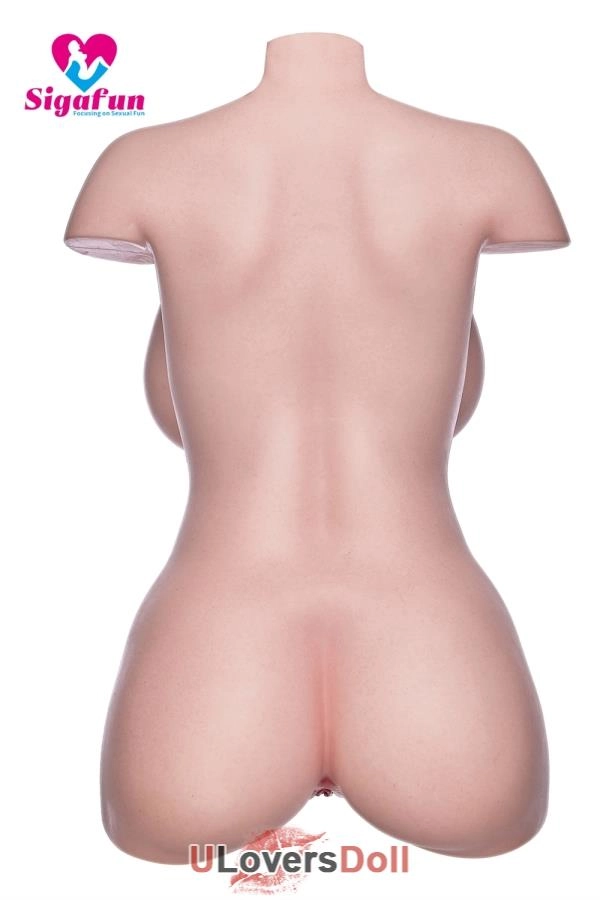 22.5kg BBW Torso Doll