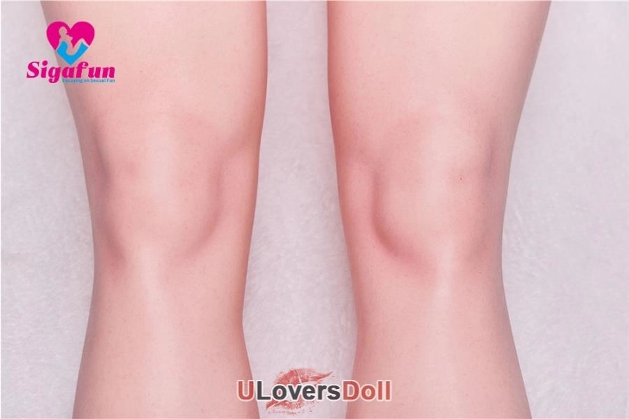 Lower Body Sex Dolls torso