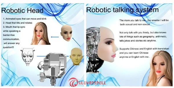 robot sex dolls