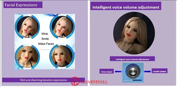 sex doll robot