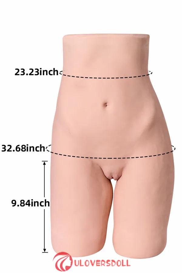 sex torsos