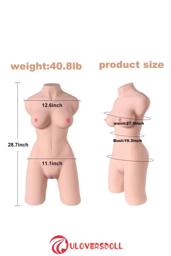 Life Size Torso Sex Doll