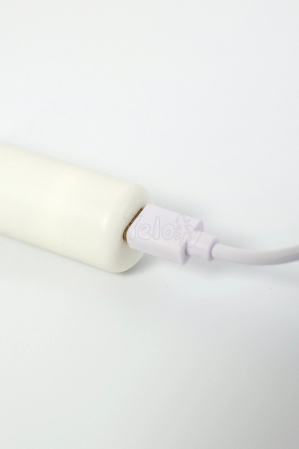 Electric Cleaning Kit