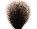 #4 Pubic Hair