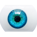 #1 Eyess