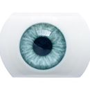 #2 Eyess