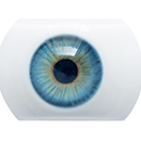 #3 Eyess
