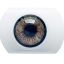 #6 Eyess