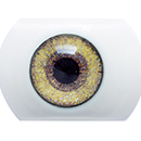 #7 Eyess