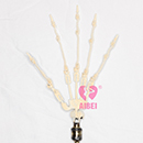 Articulated Fingers Finger Skeleton