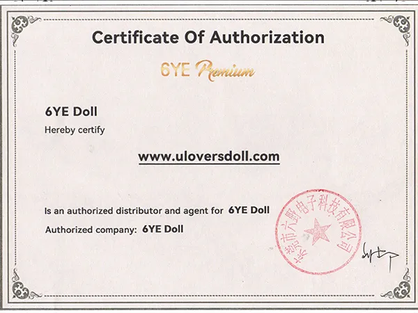 6YE Doll authorize