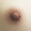Areola Color Brown