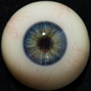 #1 Eyess