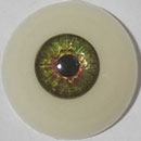 #14 Eyess