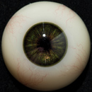 #2 Eyess