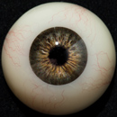 #3 Eyess