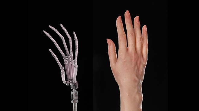Articulated Finger