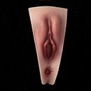 Dark Brown Labia Color