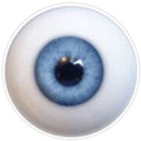 #1 Eyess