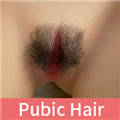 Pubic Hair:Style #1