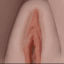 Light Brown Labia Colora
