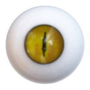 #7 Eyess