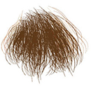 Brown Pubic Hair