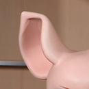Posable Ear Skeleton