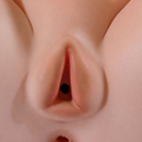 Built in Vaginas