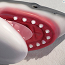 Built-in Teeth & Tongue