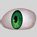 #1 Eyes