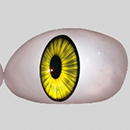 #3 Eyes