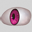 #5 Eyes