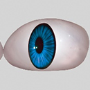 #6 Eyes