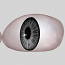 #7 Eyes