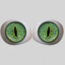 #10 Eyes
