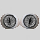 #12 Eyes