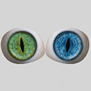 #7 Eyes