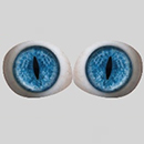 #8 Eyes