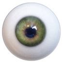Green Eyess