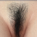 #1 Pubic Hair