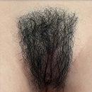 #3 Pubic Hair