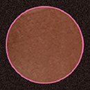 Bronze Skins