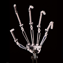 Articulated Fingers 3.0