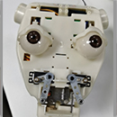 Realistic Facial Expressions