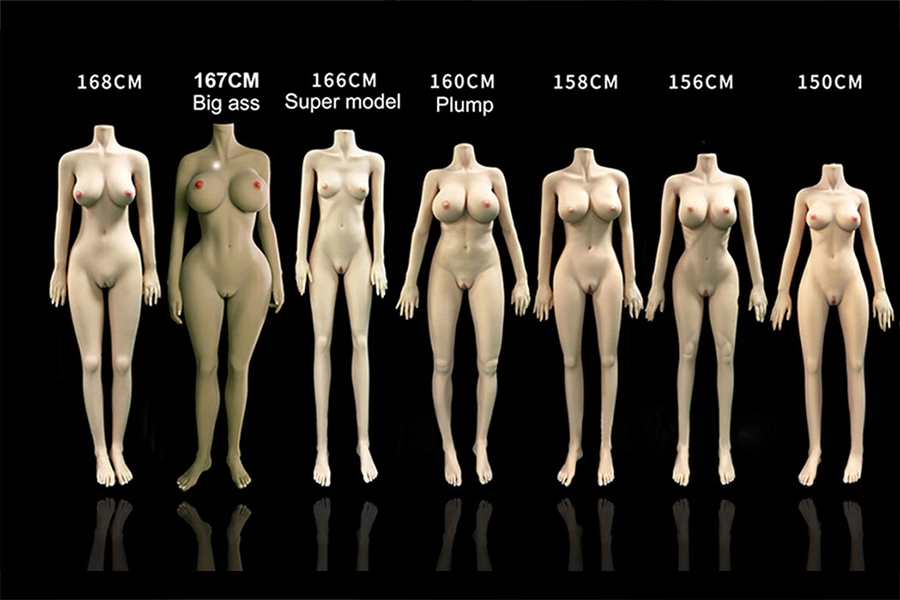 Body Size Reference Guide