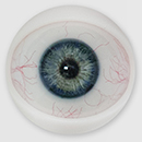 #15 Movable eyes