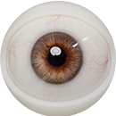 #3 Movable eyes